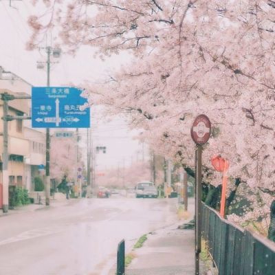 日本全国四分之一的市町村没有实体书店 各界深表担忧